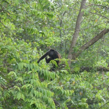 Panama Eco Resort Tierra Oscura Εξωτερικό φωτογραφία