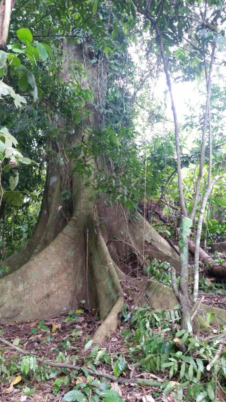 Panama Eco Resort Tierra Oscura Εξωτερικό φωτογραφία