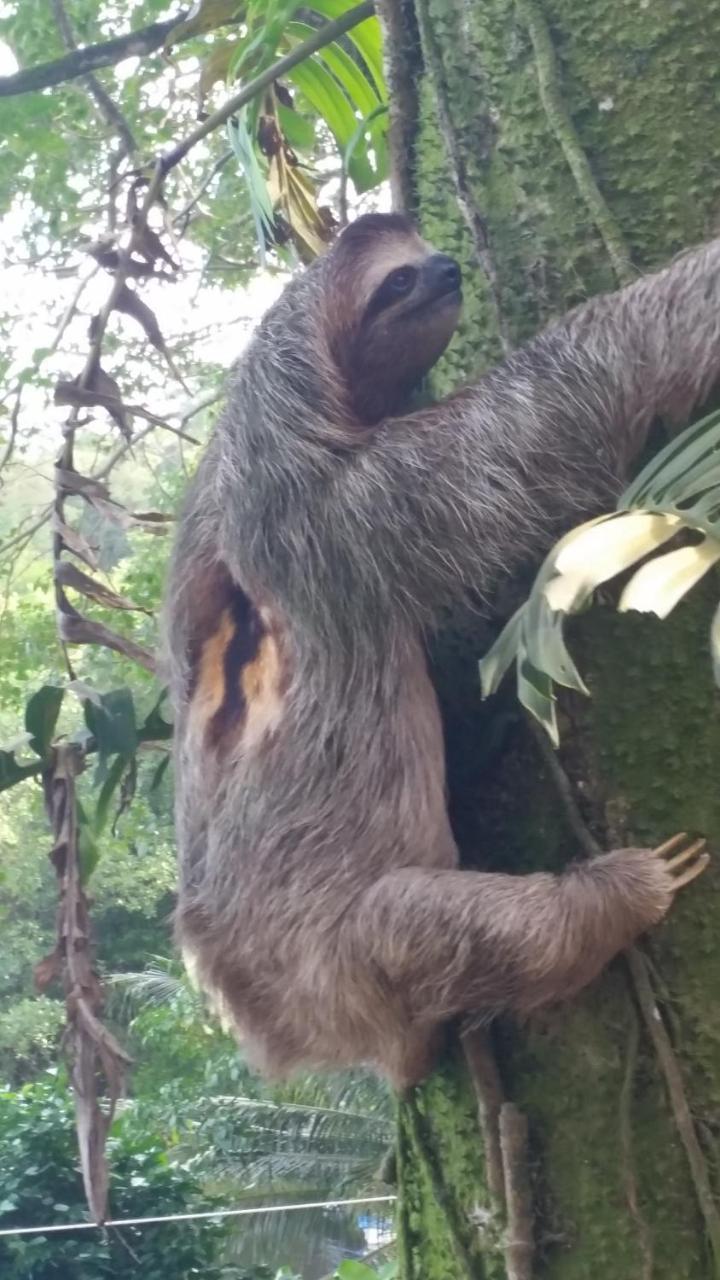 Panama Eco Resort Tierra Oscura Εξωτερικό φωτογραφία
