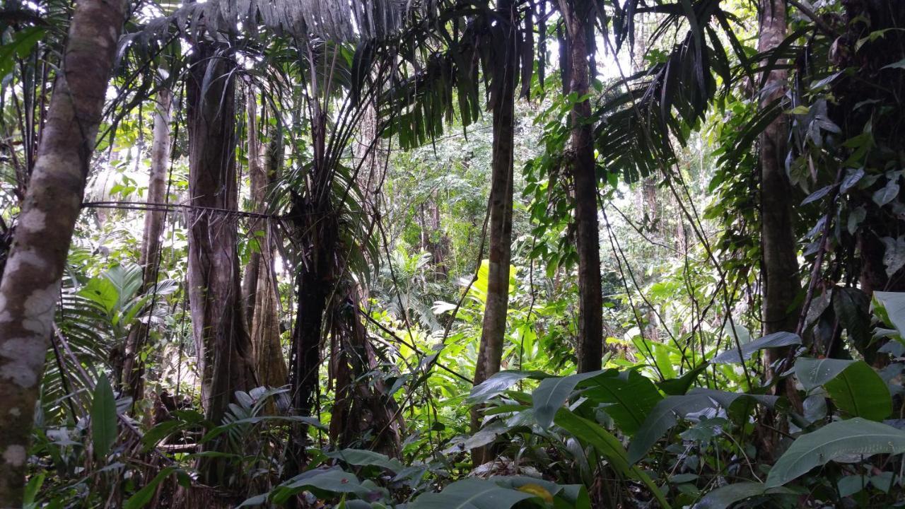 Panama Eco Resort Tierra Oscura Εξωτερικό φωτογραφία