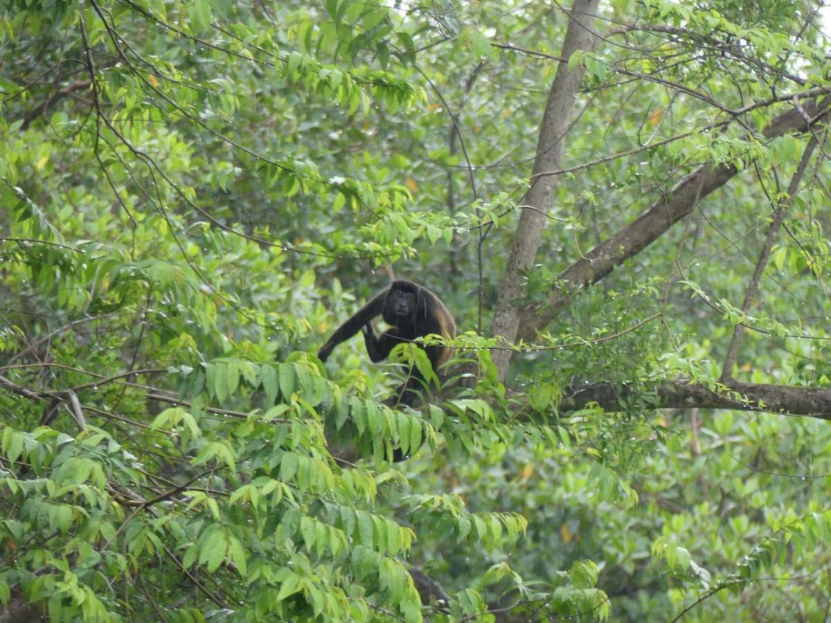 Panama Eco Resort Tierra Oscura Εξωτερικό φωτογραφία